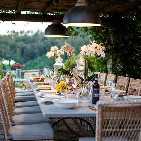 Villa Domus Francigena Lucca Dış mekan fotoğraf